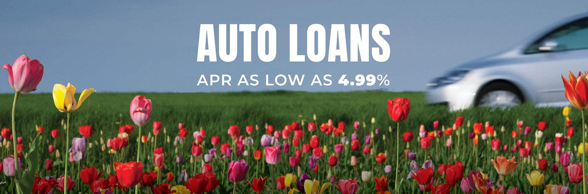 Auto Loans with a low APR